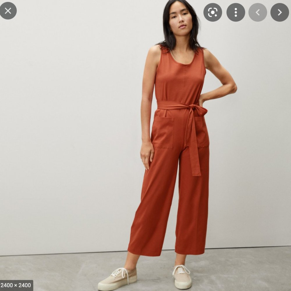 Everlane Rust Jumpsuit